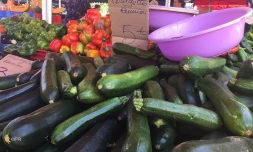 Fruits et légumes après Berguitta 