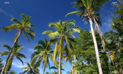 paysages 
