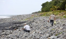 Recherche débris Saint-André