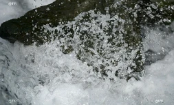 Eau