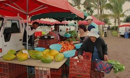 marché forain Fleurimont Balance Saint-Paul