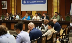 nouvelle calédonie-ile de la réunion