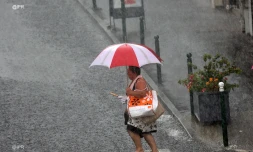 Pluie