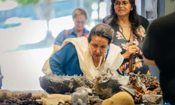 Sainte-Rose : découverte du projet du centre d’interprétation du volcanisme littoral