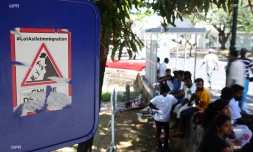 migrants Sri-Lankais