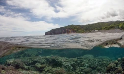 Les Lataniers la Possession