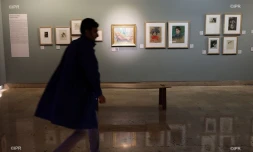 Musée Léon Dierx