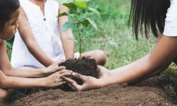 Atelier éco-artistique : passeport du vivant, le temps d'une forêt 