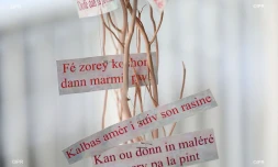 proverbe en créole 