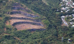Carrière des lataniers