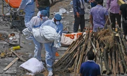 Inde Coronavirus 