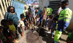 Saint-Pierre : fleurissement et plantation d´arbres endémiques à l'école Flora Tristan
