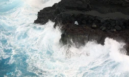 Sud sauvage