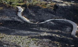 Maïdo : les pompiers toujours à l'oeuvre après sept jours d'incendie 13 novembre 2020