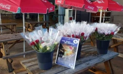 Opération une rose un espor