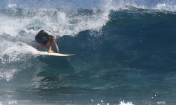 Surf