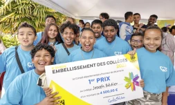 Conseil départemental