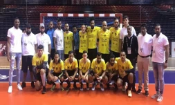 Championnat de France de handball
