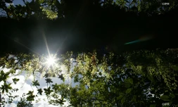 paysages 