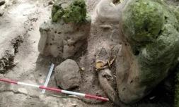 Cette photo non datée publiée par le ministère guatémaltèque de la Culture le 29 mai 2025 montre deux sculptures anthropomorphes qui "représentent un couple ancestral", découvertes sur le site archéologique d'Uaxactún, au Guatemala ( Guatemalan Ministry of Culture and Sports / Handout )