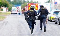Danemark : un mort et un policier blessé aprÚs une fusillade dans le nord du pays