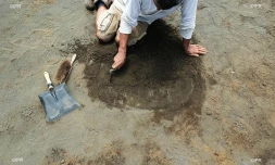 vestiges archéologiques de saint-paul 