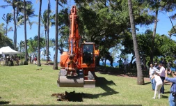 grand anse en travaux