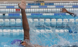 Natation