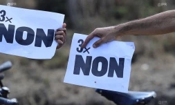 Chaêne huamine contre la carrière de Bois Blanc