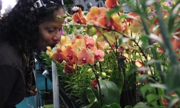 Salon Flore et Halle