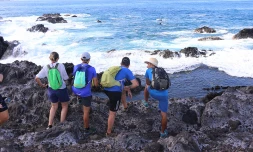 TCO : balades guidées et petit déjeuner en bord de mer