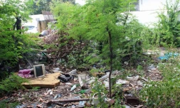 Case créole déchets dengue