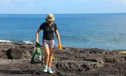 Nettoyage Cap Lahoussaye