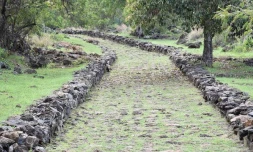 Tricentennaire des chemins pavés Bellemène