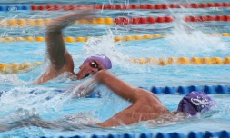 natation 
