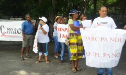 Manifestation du C.mac