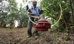 Emplois verts