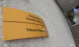 Tribunal