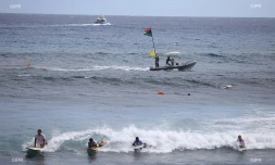 Risque requins : les surfeurs se mettent enfin à l'eau avec les vigies renforcées