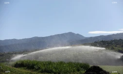 irrigation  canne à sucre 