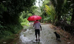 pluie 