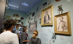 Nuit Européenne des Musées : une balade culturelle au coeur de la nuit