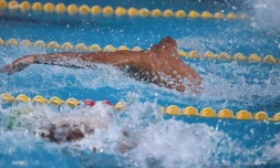 Championnat de natation de La Réunion