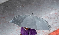 Pluies