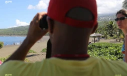 Attaque requin l\'Etang-Salé