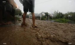 changement climatique