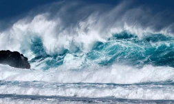 vagues houle ouest 