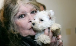 Brigitte Bardot pose, le 28 décembre 2005 à Nice