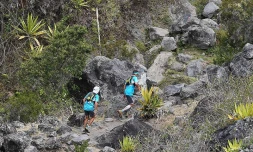 Grand Raid
