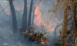 Important feu de broussailles à Rivière du Mât les Bas